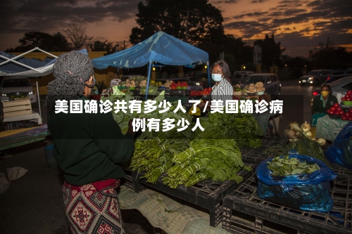 美国确诊共有多少人了/美国确诊病例有多少人