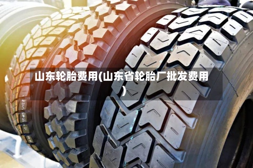 山东轮胎费用(山东省轮胎厂批发费用)