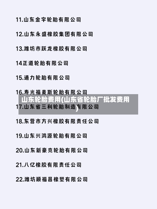 山东轮胎费用(山东省轮胎厂批发费用)-第2张图片