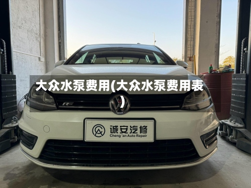 大众水泵费用(大众水泵费用表)-第2张图片