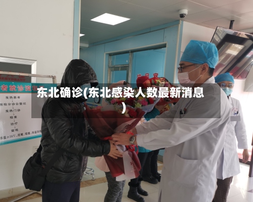东北确诊(东北感染人数最新消息)-第2张图片