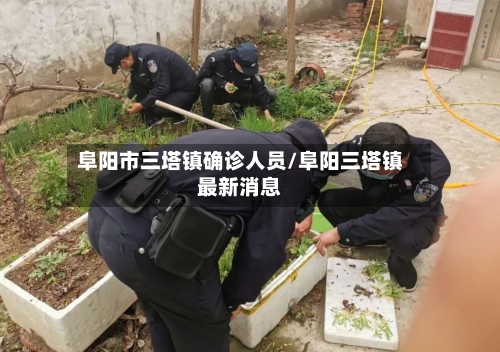 阜阳市三塔镇确诊人员/阜阳三塔镇最新消息