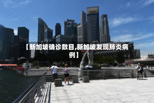 【新加坡确诊数目,新加坡发现肺炎病例】-第2张图片