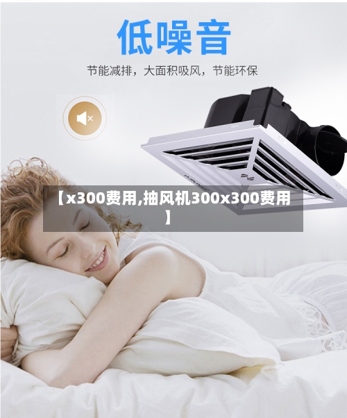 【x300费用,抽风机300x300费用】
