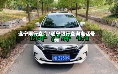 遂宁限行查询/遂宁限行查询电话号码-第3张图片