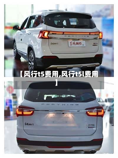 【风行t5费用,风行t5l费用】