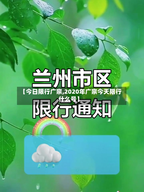 【今日限行广宗,2020年广宗今天限行什么号】-第2张图片