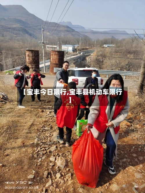 【宝丰今日限行,宝丰县机动车限行】-第2张图片