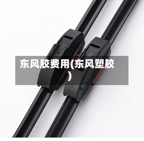 东风胶费用(东风塑胶)-第2张图片