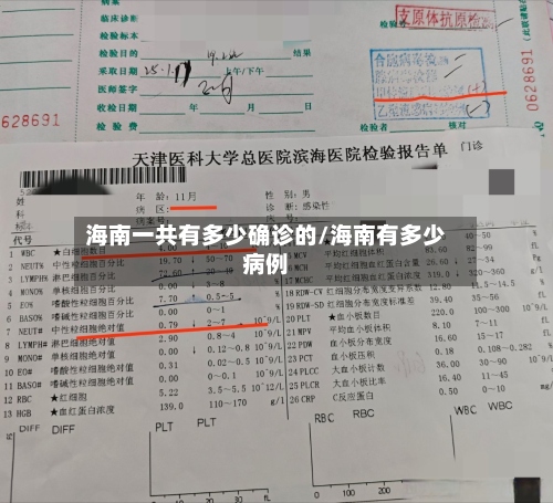 海南一共有多少确诊的/海南有多少病例-第3张图片