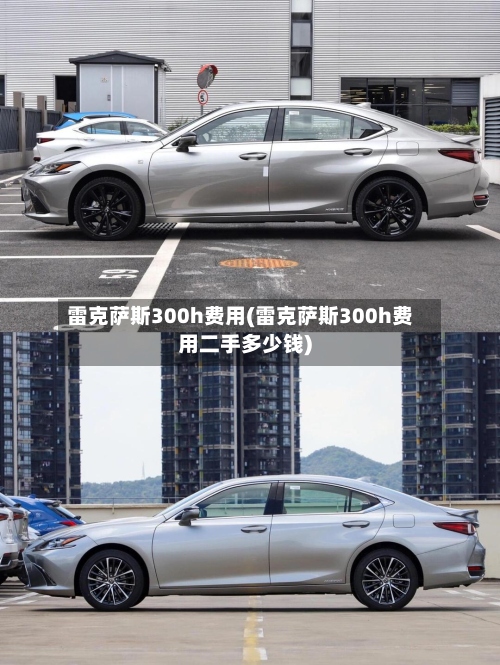 雷克萨斯300h费用(雷克萨斯300h费用二手多少钱)-第2张图片