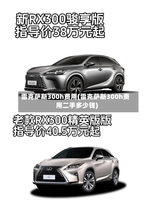 雷克萨斯300h费用(雷克萨斯300h费用二手多少钱)-第3张图片