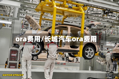 ora费用/长城汽车ora费用-第2张图片