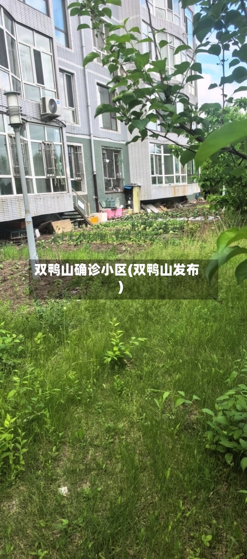 双鸭山确诊小区(双鸭山发布)-第2张图片