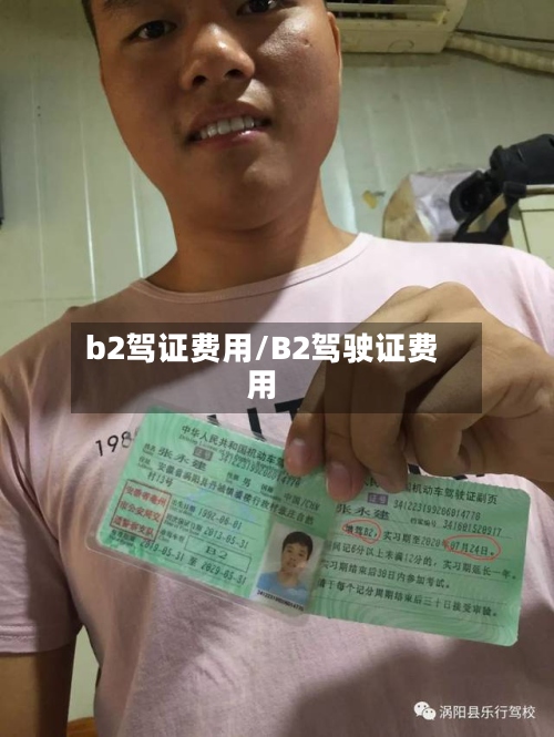 b2驾证费用/B2驾驶证费用