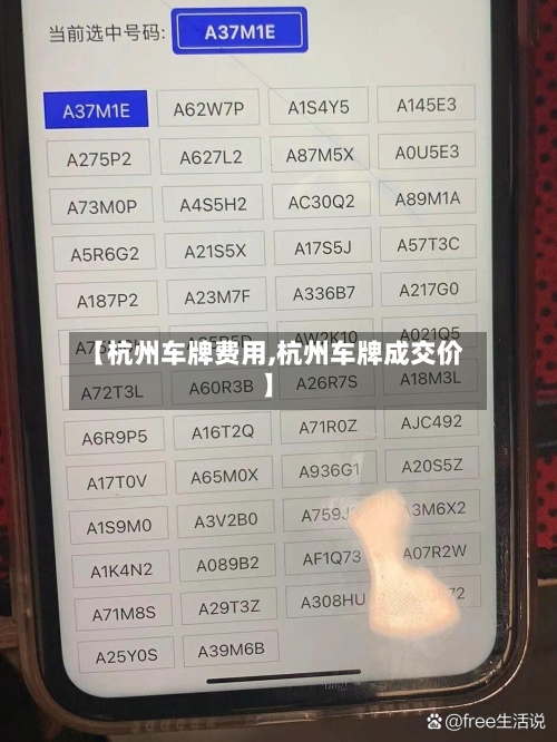 【杭州车牌费用,杭州车牌成交价】-第3张图片