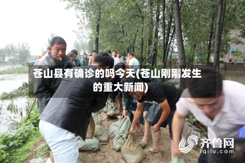 苍山县有确诊的吗今天(苍山刚刚发生的重大新闻)