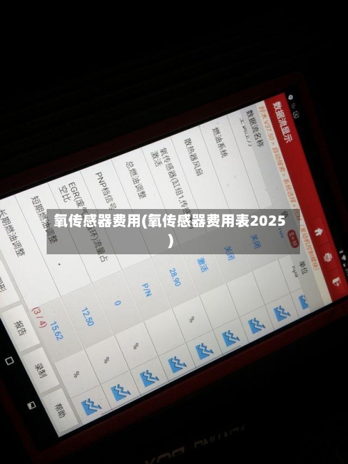 氧传感器费用(氧传感器费用表2025)
