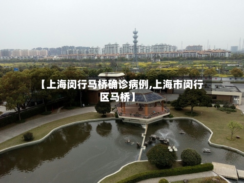 【上海闵行马桥确诊病例,上海市闵行区马桥】-第3张图片