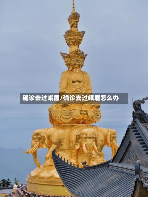 确诊去过峨眉/确诊去过峨眉怎么办