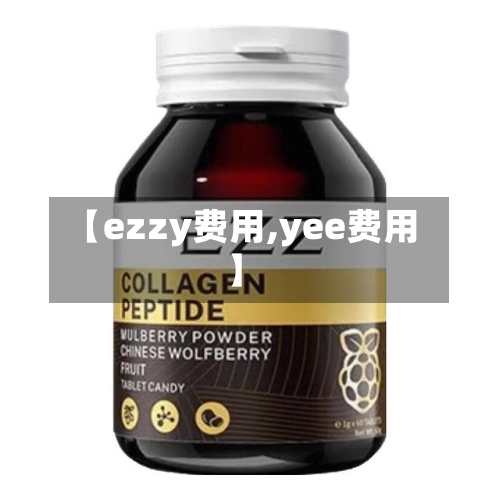 【ezzy费用,yee费用】
