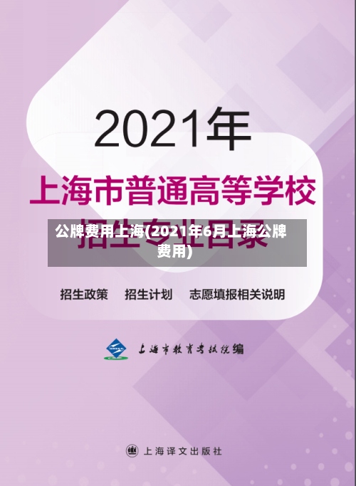 公牌费用上海(2021年6月上海公牌费用)-第2张图片