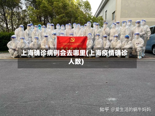 上海确诊病例会去哪里(上海疫情确诊人数)-第2张图片