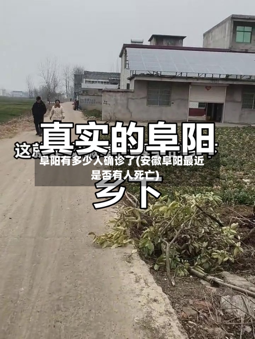 阜阳有多少人确诊了(安徽阜阳最近是否有人死亡)-第2张图片