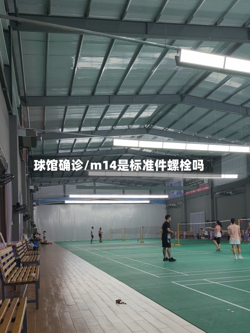 球馆确诊/m14是标准件螺栓吗-第3张图片