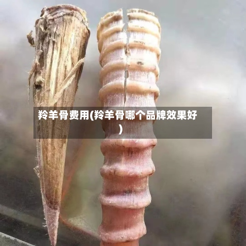 羚羊骨费用(羚羊骨哪个品牌效果好)