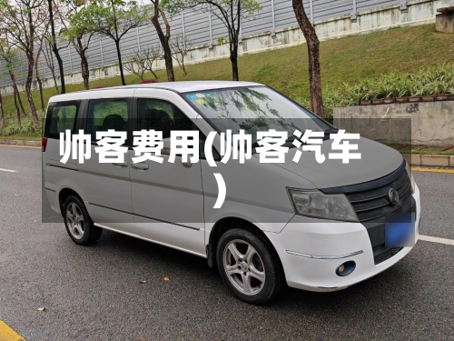 帅客费用(帅客汽车)-第2张图片
