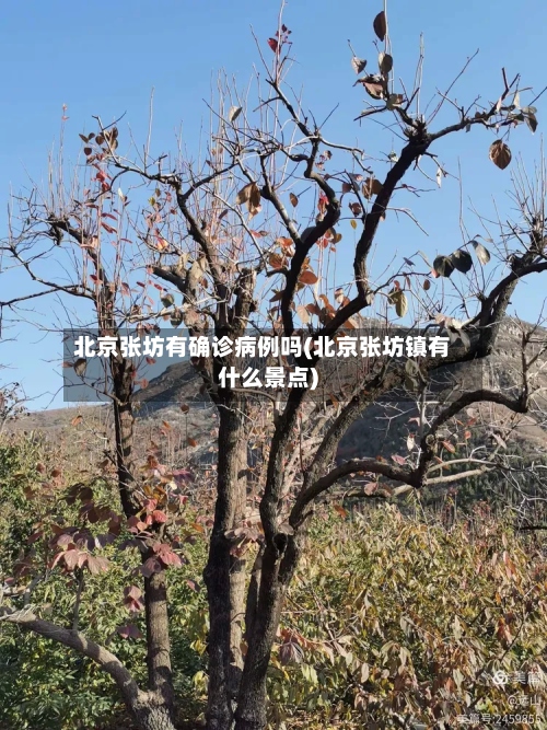 北京张坊有确诊病例吗(北京张坊镇有什么景点)