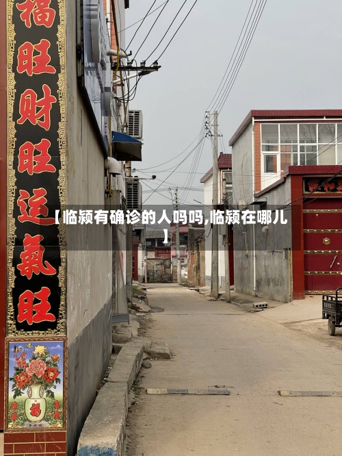 【临颍有确诊的人吗吗,临颍在哪儿】-第2张图片