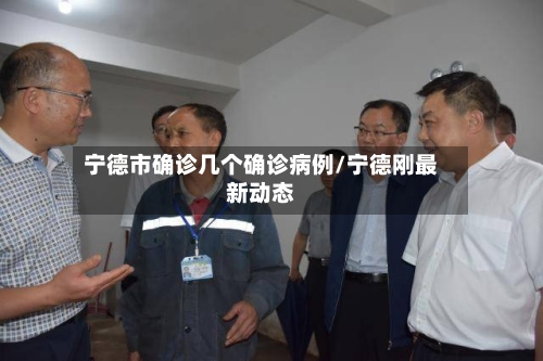 宁德市确诊几个确诊病例/宁德刚最新动态-第2张图片