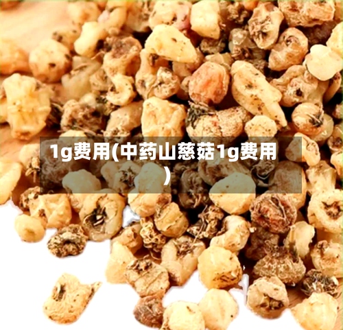 1g费用(中药山慈菇1g费用)-第2张图片