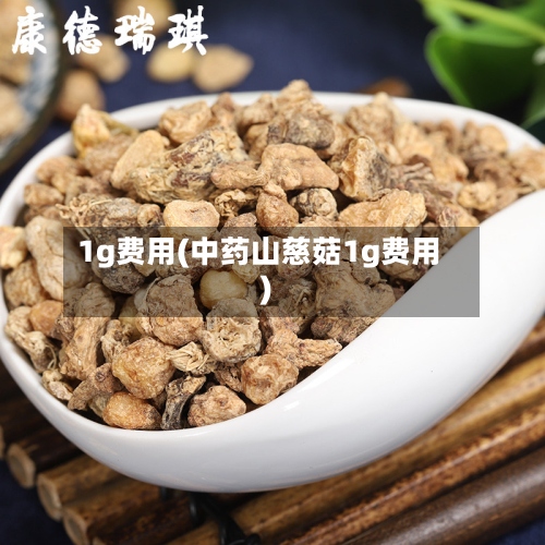 1g费用(中药山慈菇1g费用)