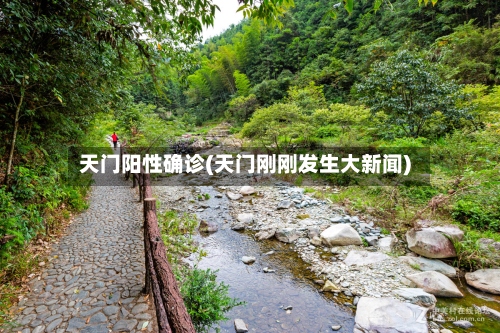 天门阳性确诊(天门刚刚发生大新闻)-第2张图片