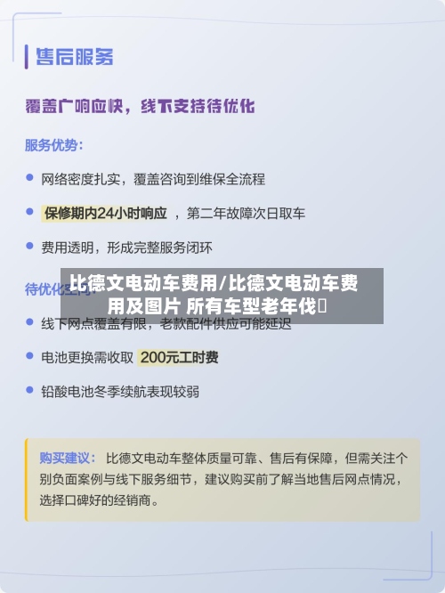比德文电动车费用/比德文电动车费用及图片 所有车型老年伐歩-第2张图片