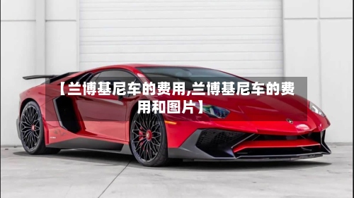 【兰博基尼车的费用,兰博基尼车的费用和图片】-第2张图片