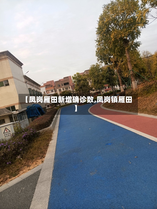 【凤岗雁田新增确诊数,凤岗镇雁田】