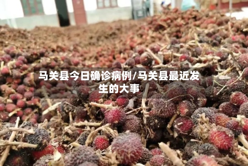 马关县今日确诊病例/马关县最近发生的大事-第2张图片
