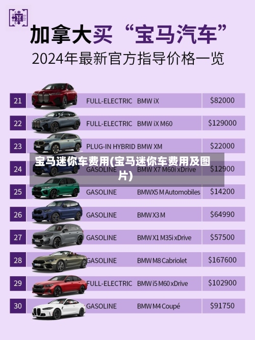 宝马迷你车费用(宝马迷你车费用及图片)
