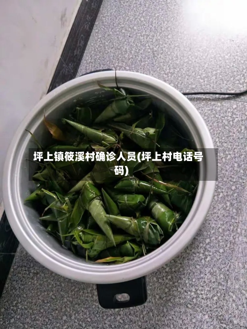 坪上镇筱溪村确诊人员(坪上村电话号码)-第3张图片