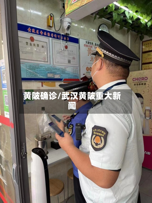 黄陂确诊/武汉黄陂重大新闻-第2张图片