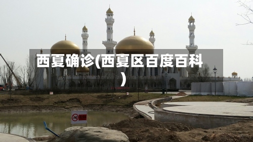西夏确诊(西夏区百度百科)