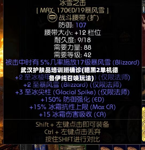 武汉护肤品培训班确诊(暗黑2单机德鲁伊纯召唤玩法)-第2张图片