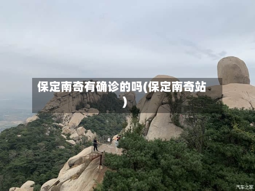 保定南奇有确诊的吗(保定南奇站)-第2张图片