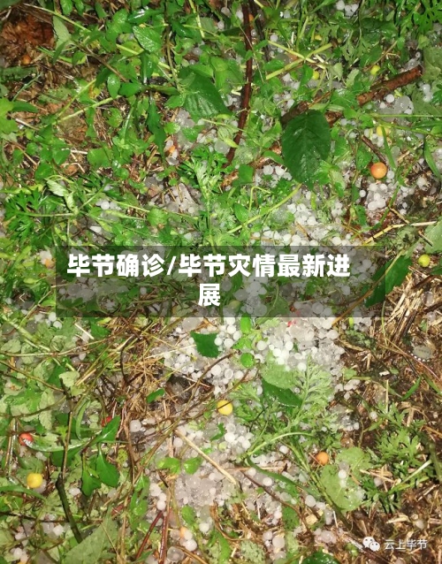 毕节确诊/毕节灾情最新进展