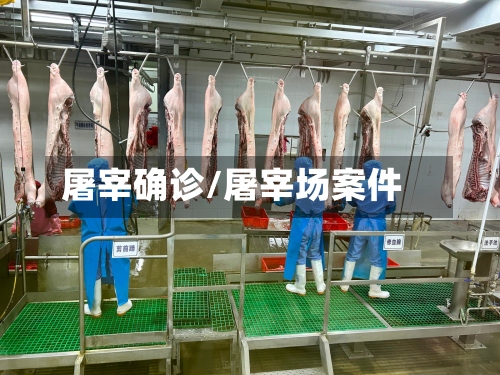 屠宰确诊/屠宰场案件-第2张图片