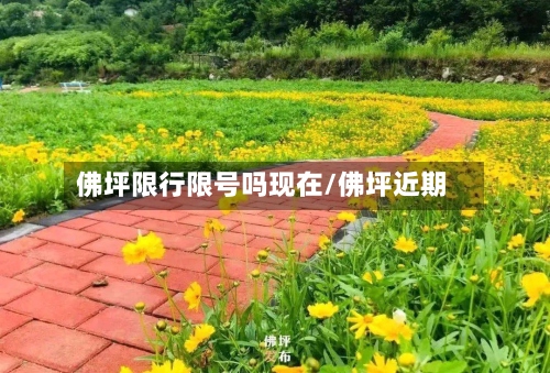 佛坪限行限号吗现在/佛坪近期
